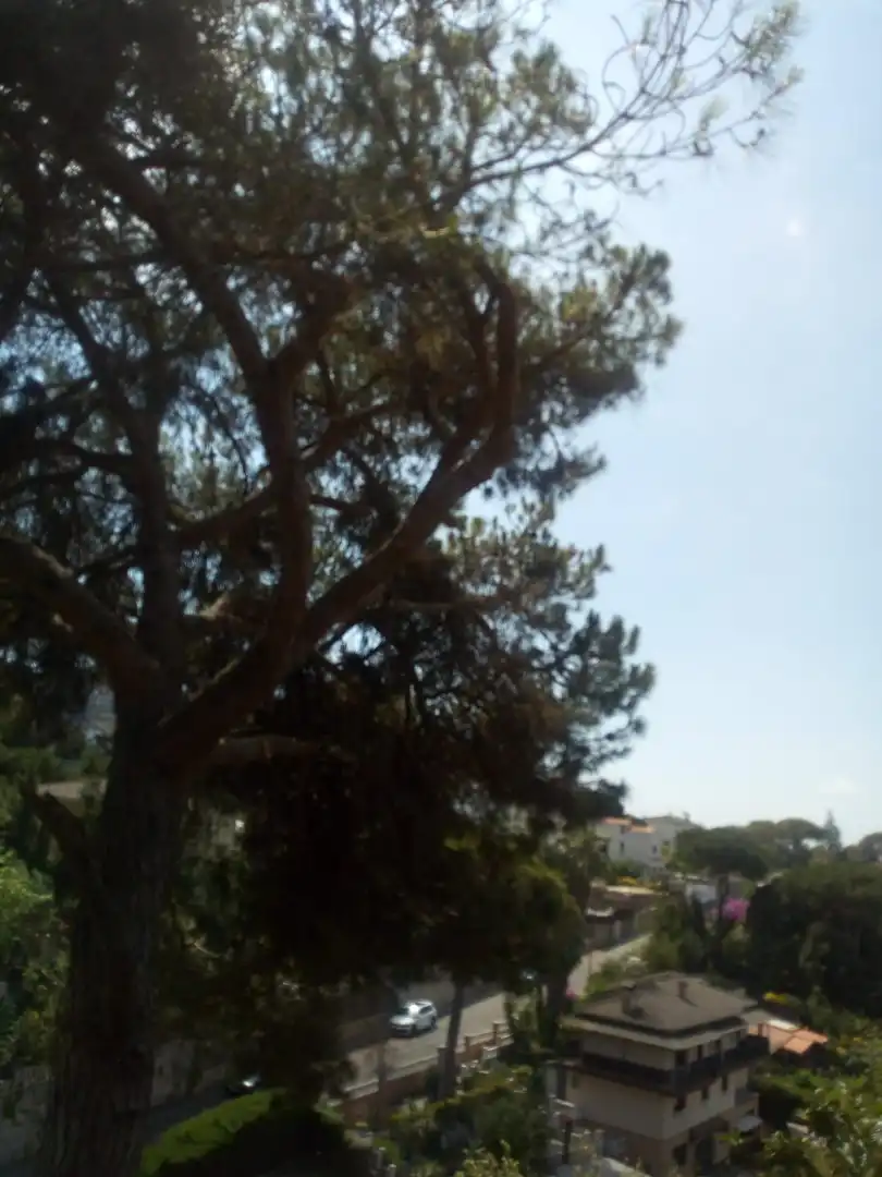 Terreno residencial en venta en Can Massuet del Far, imagen 17