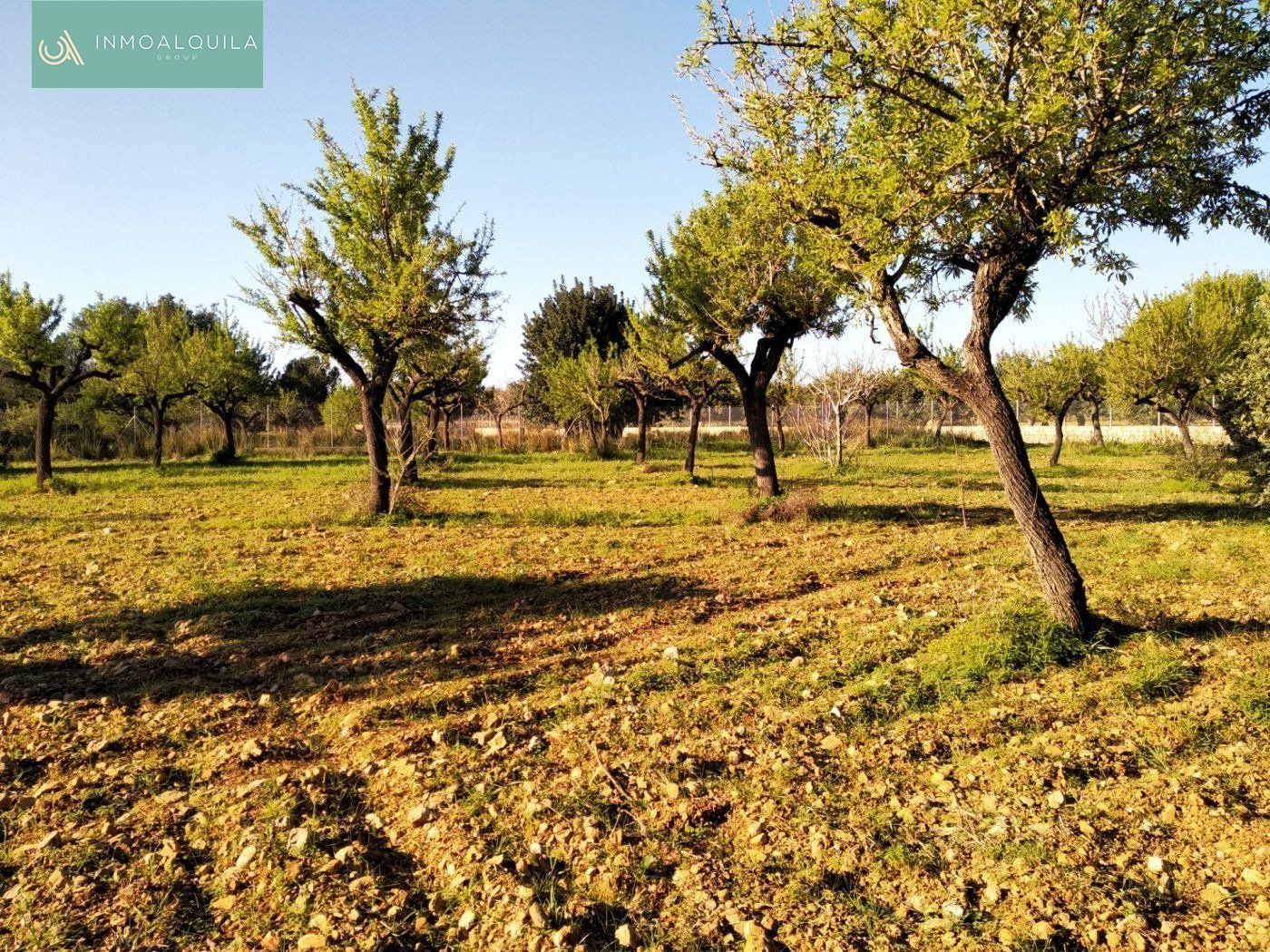 Finca rústica en venda a Lloseta