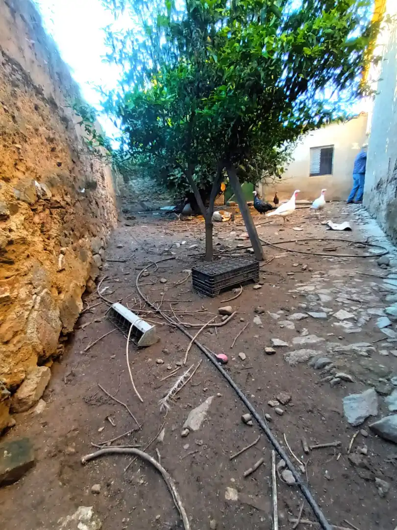 Terreni e lotti in vendita a Carretera Valverde de Mérida 11, imagen 9