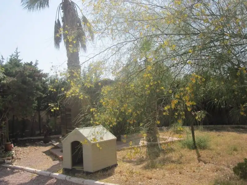 Jardín de Casa o chalet en venta en Novelda con Aire acondicionado, Calefacción y Jardín privado