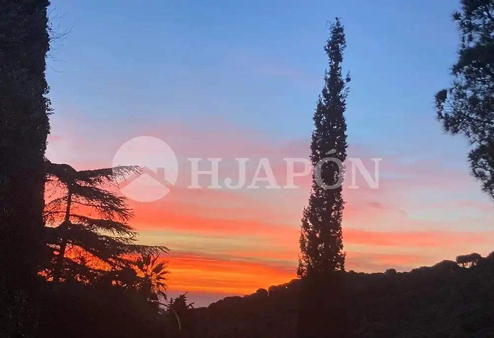 Garden of Houses for sale in Alella, Barcelona