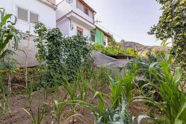 Dúplex en venda a Lomontero, El Álamo - Arbejales