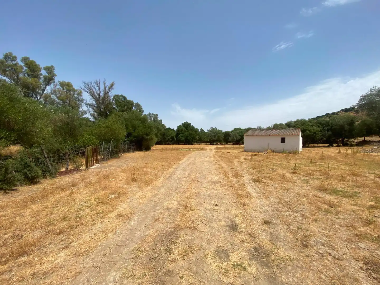 Terreni e lotti in vendita a Alcalá de los Gazules, imagen 39