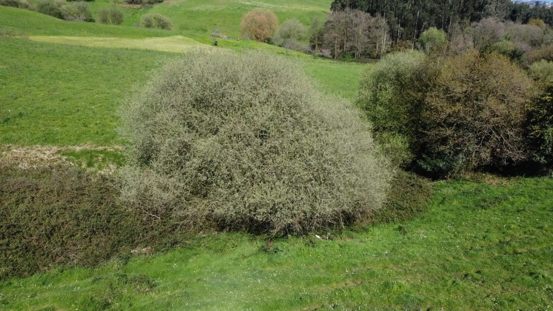 Jardí de Residencial en venda en Gijón 
