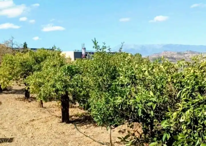 Terreni e lotti in vendita a Coín, imagen 15