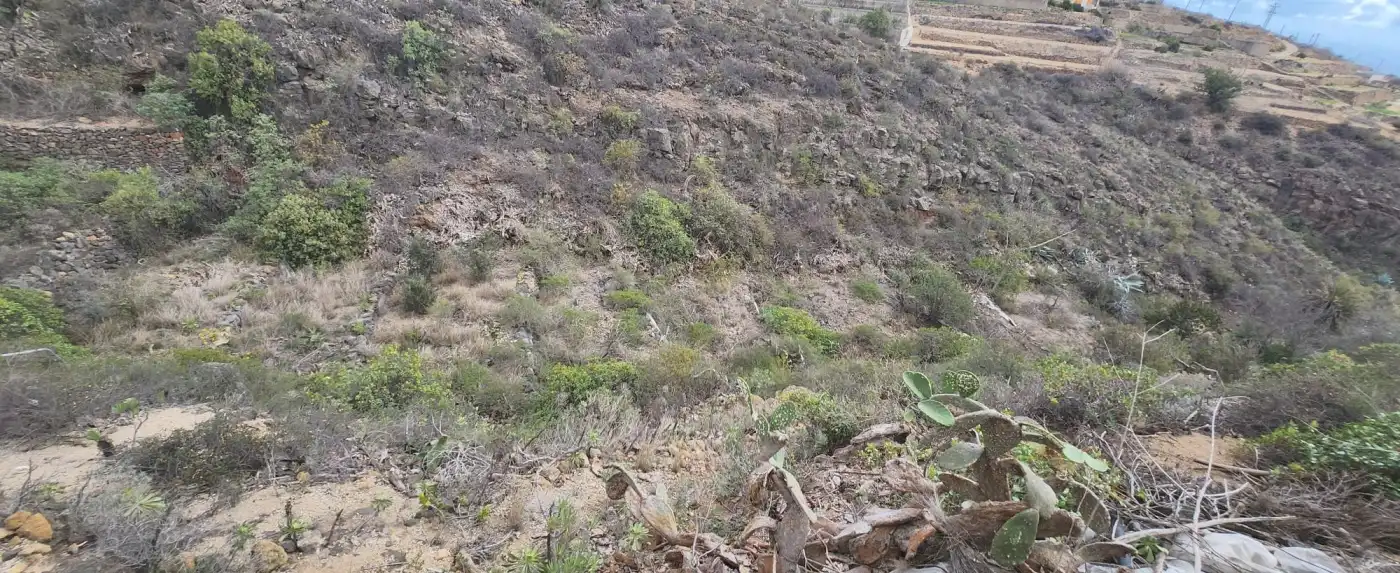 Terreno rustico in vendita a Vial Camino, imagen 14