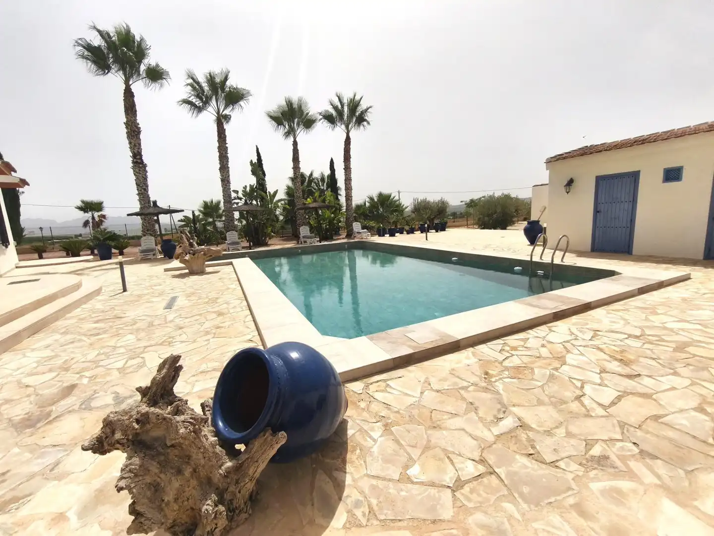 Piscina de Casa o chalet en venta en Molina de Segura