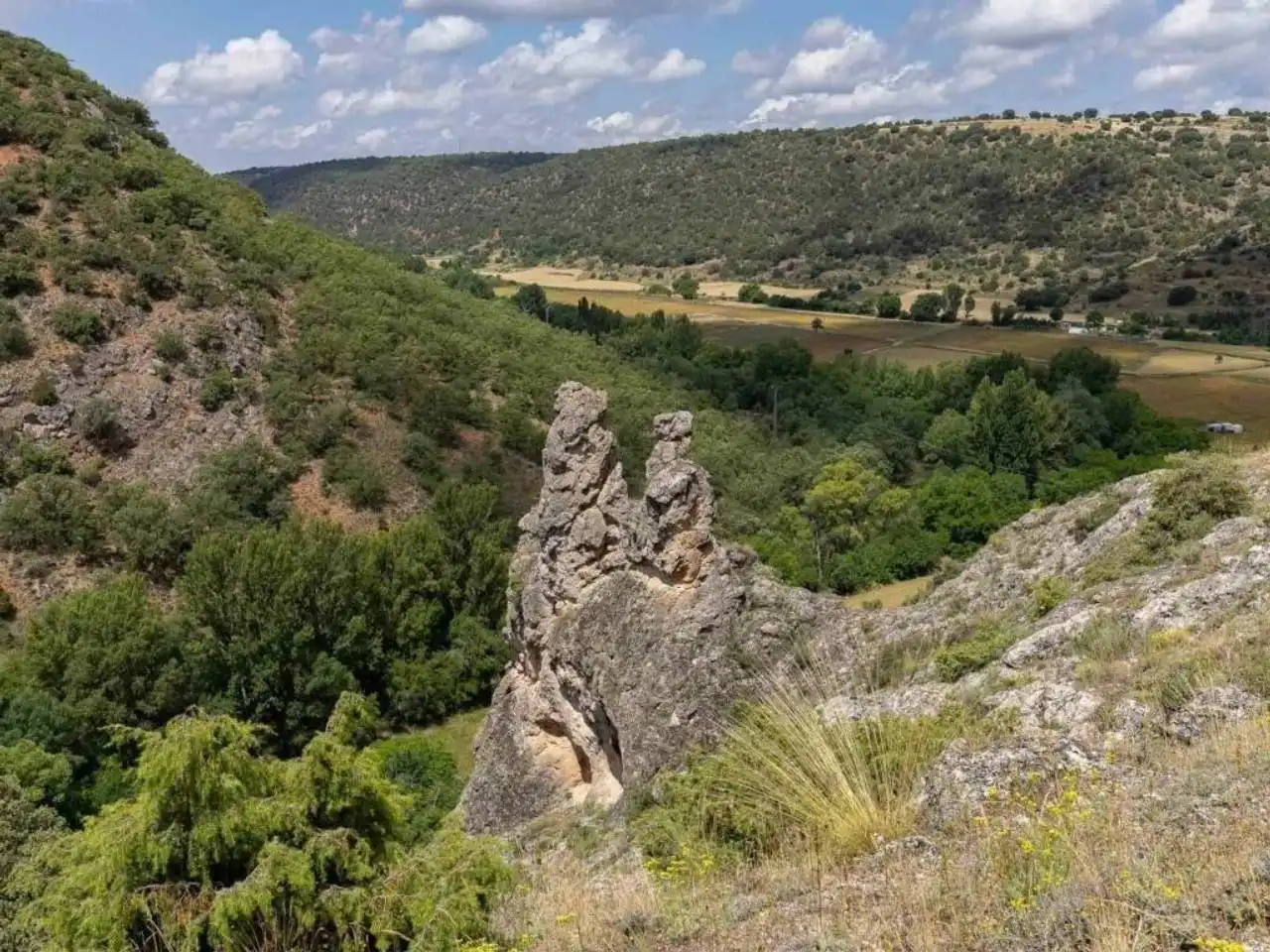 Garten von Gebäude zum Verkauf in Sigüenza