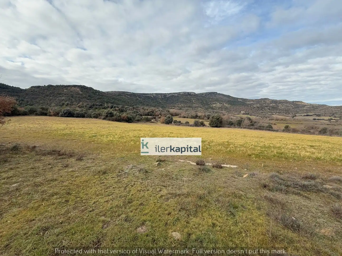 Lands and plots for sale in Tolva, imagen 6