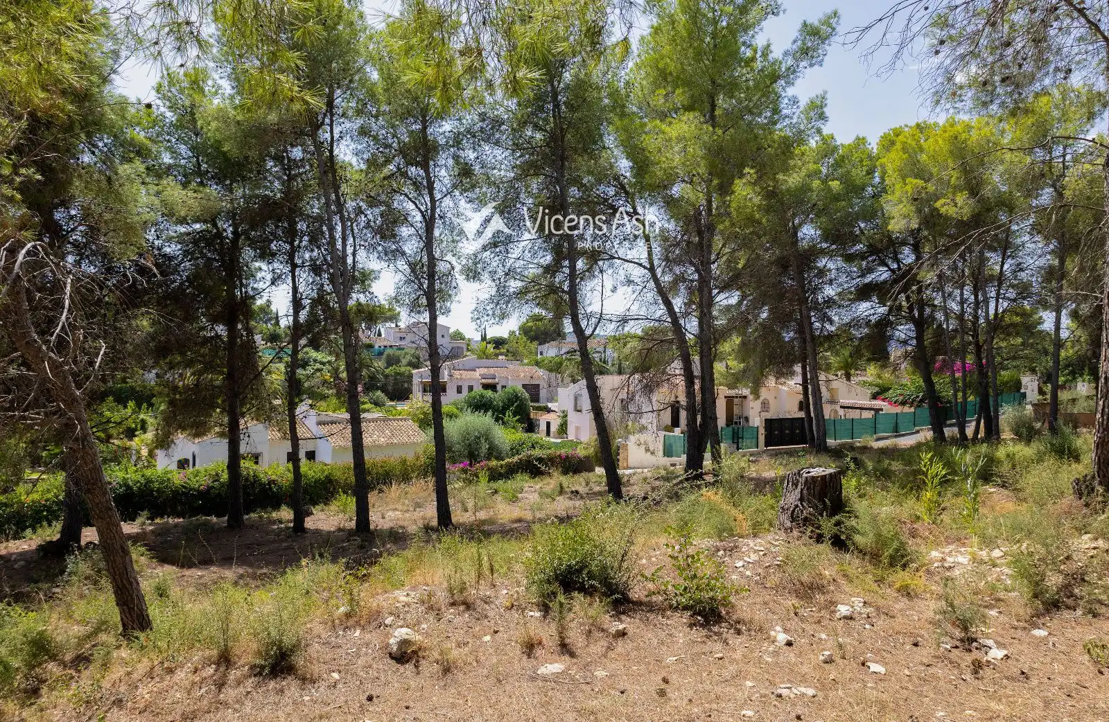 Rural land for sale in dels Castellans, imagen 11