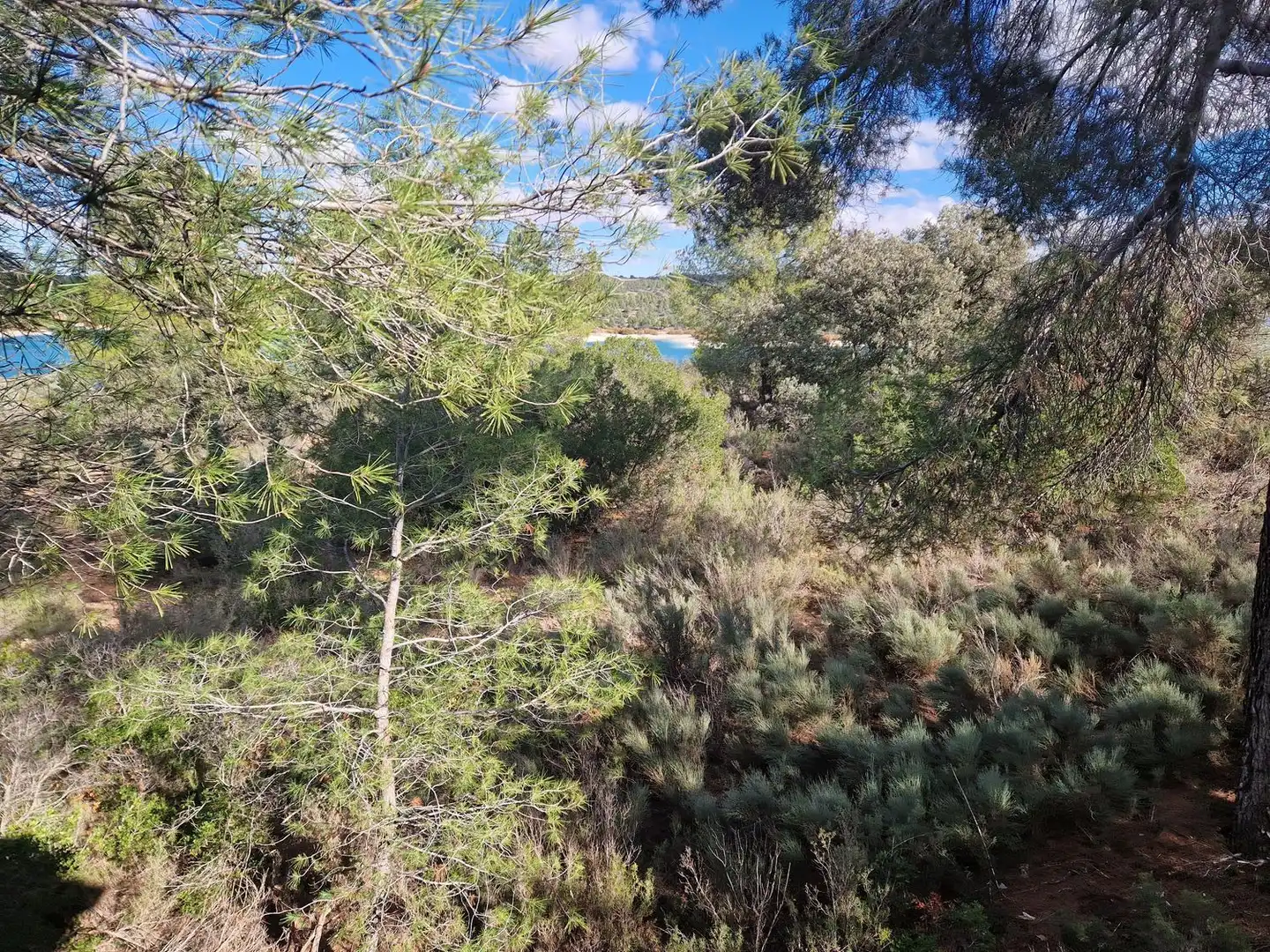 Rural land for sale in Pantano de Peñarroya 0, imagen 23