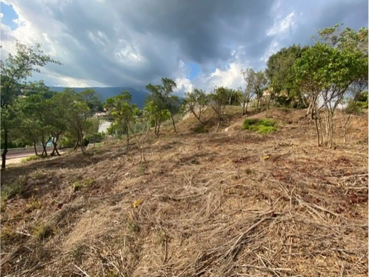 Terreny residencial en venda a Riells i Viabrea, imagen 3