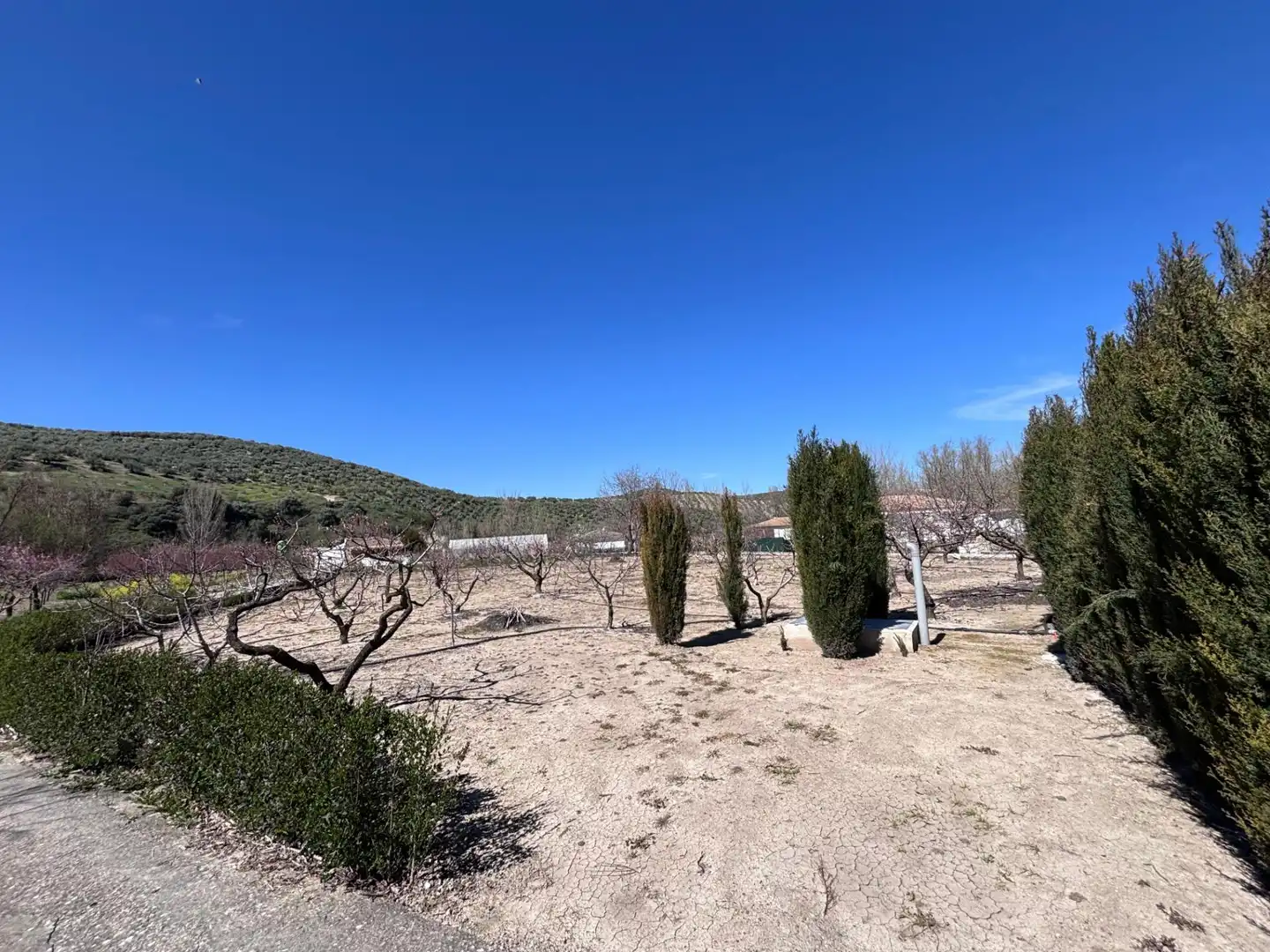 Country homes for sale in DISEMINADO, Castillo de Locubín