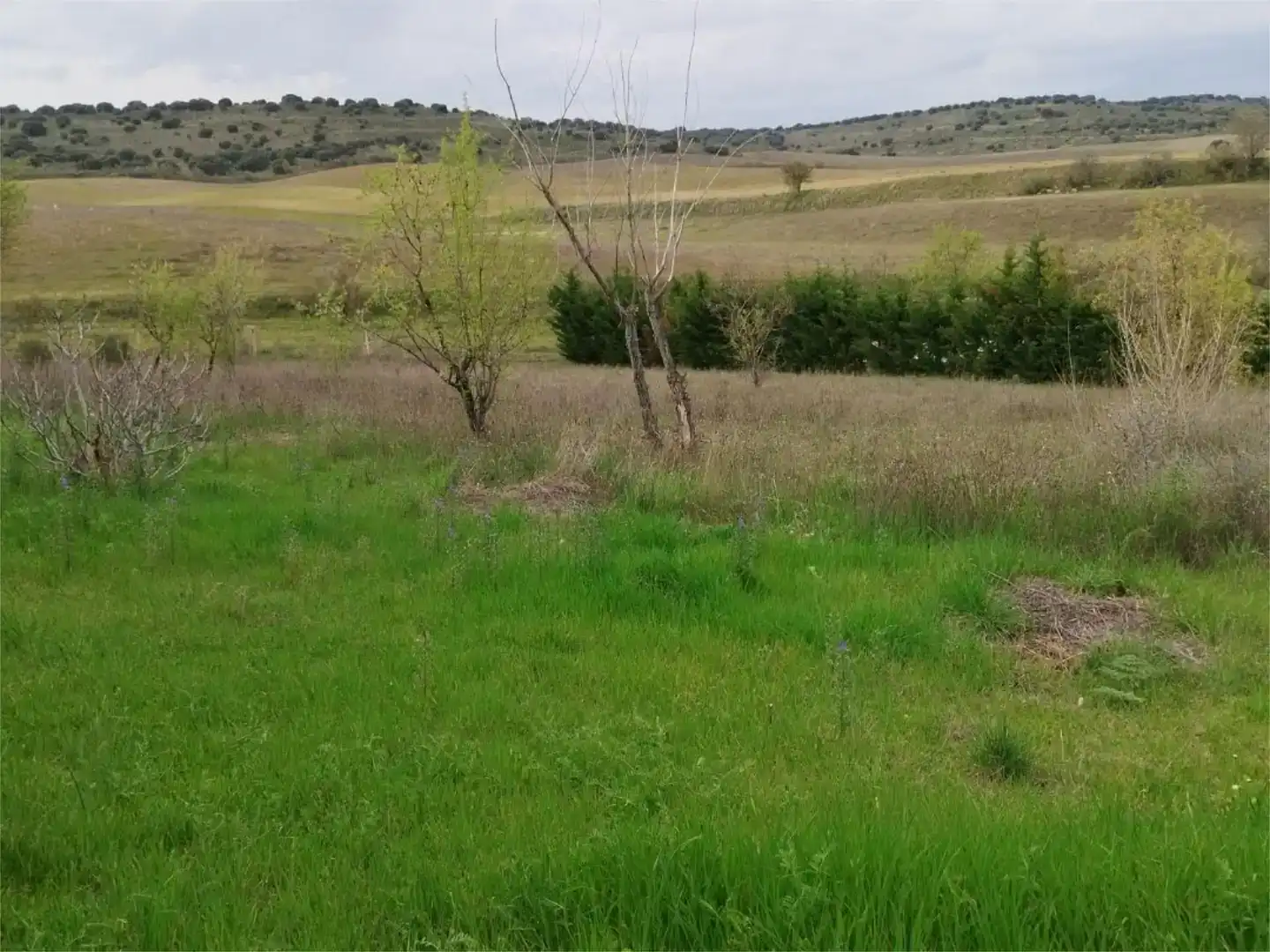 Residencial en venta en Ribatejada