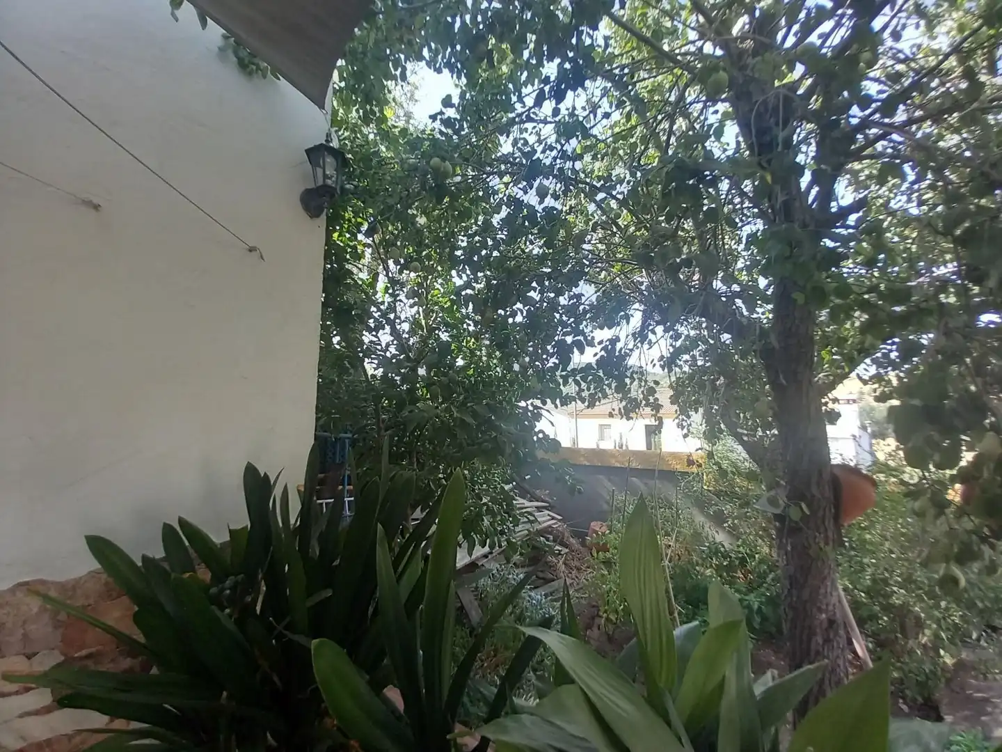 Jardín de Finca rústica en venta en Ronda con Calefacción, Jardín privado y Trastero