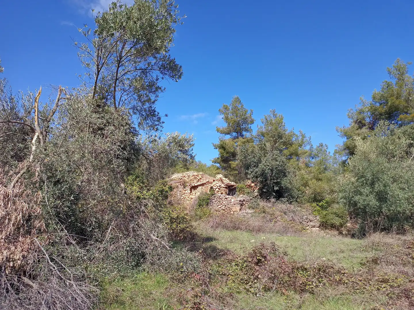 Casa rústica en venda a Cretas, imagen 14