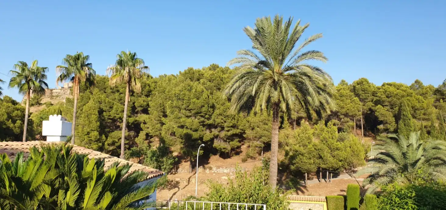 Casa o chalet en venta en Oliva pueblo