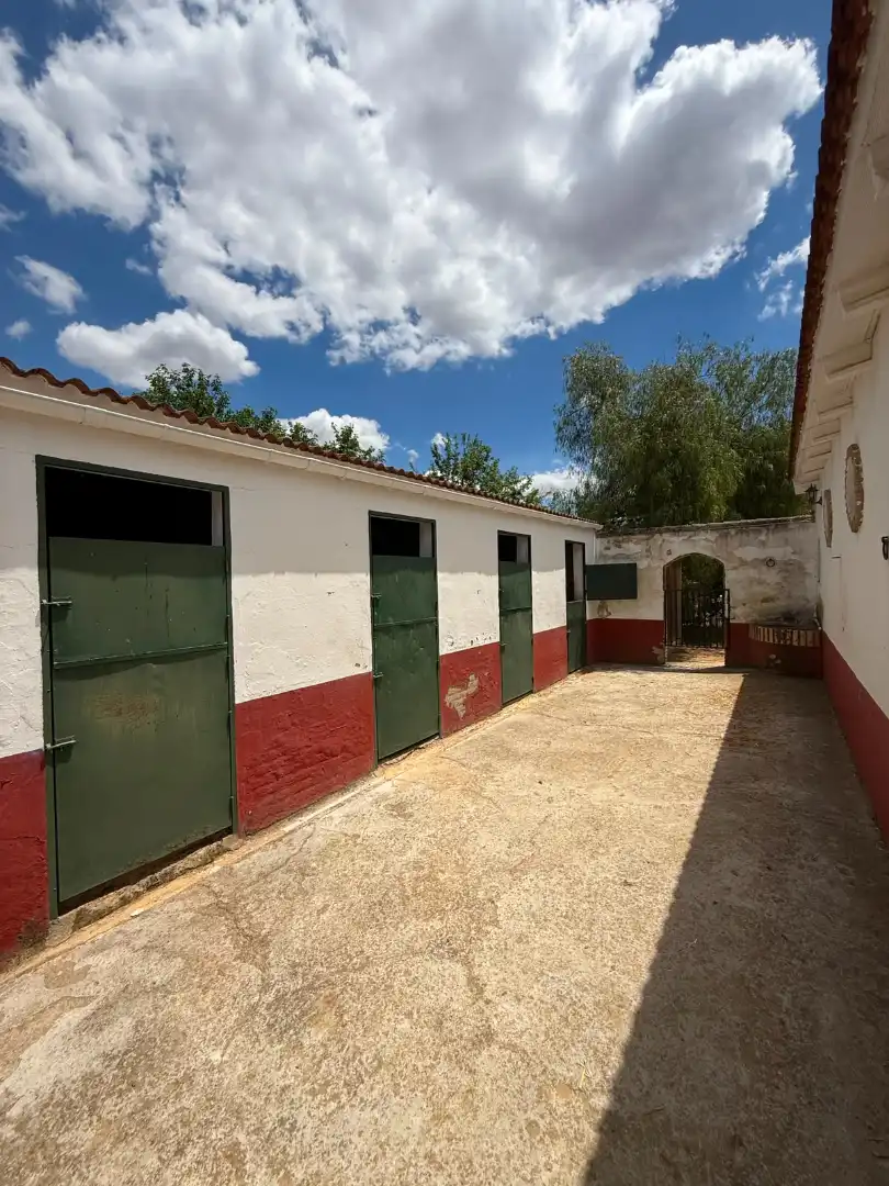 Chalet con piscina en venta en Carretera Olivares, imagen 51