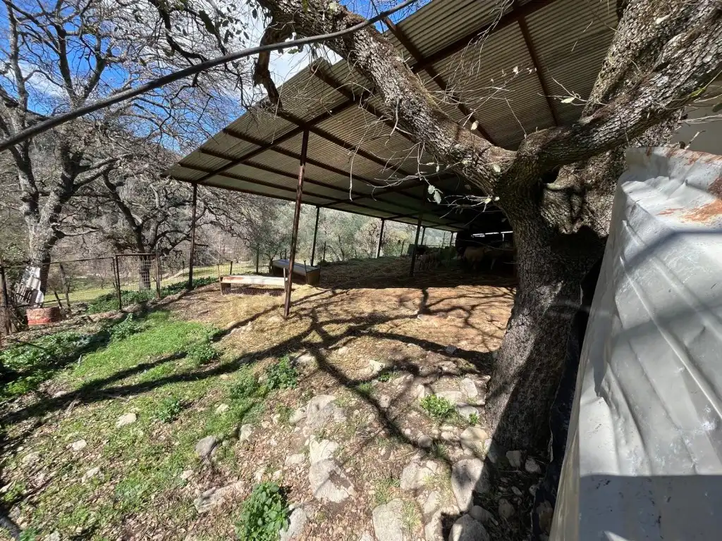Finca rústica en venda en Ronda