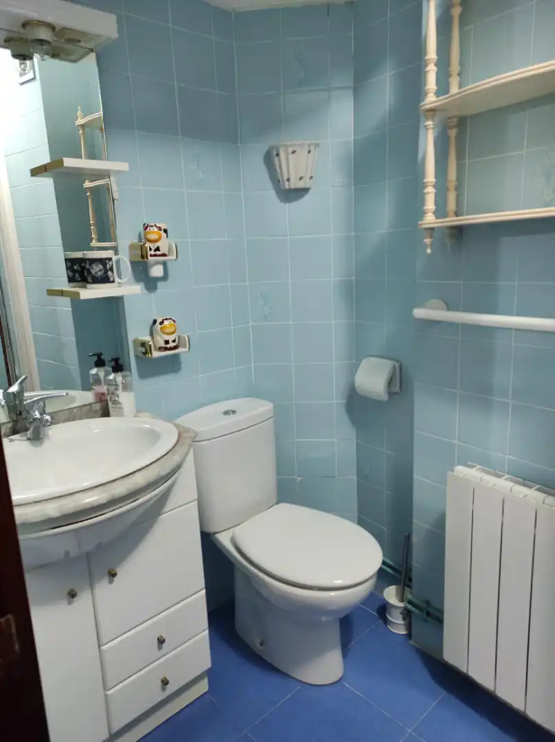 Appartamento con terrazza in vendita a Los Baños Kalea 33BIS, imagen 5