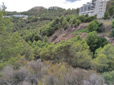 Wohnbaugrundstück zum Verkauf in Calle Principal de la Serra 169