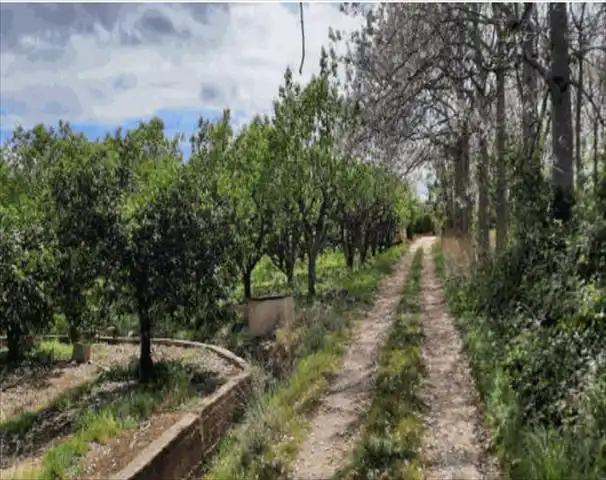 Terreny rústic en venda a Urbanitzacions i Pedanies Nord, imagen 3