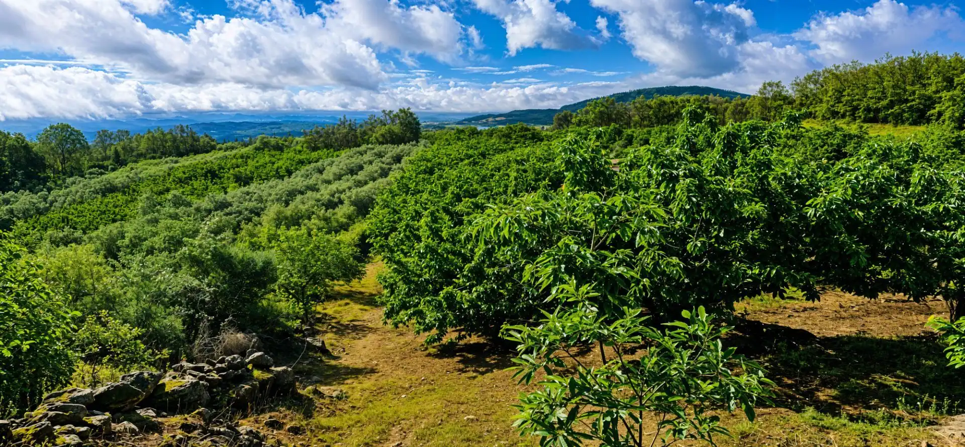 Terreno en venta en Garganta la Olla