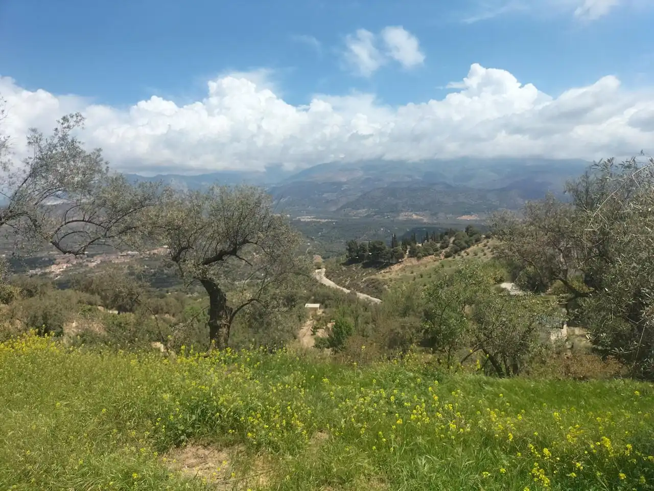 Casa rustica in vendita a El Valle, imagen 4