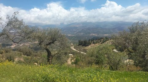 Finca Rúst. en venta en El Valle., immagine 4