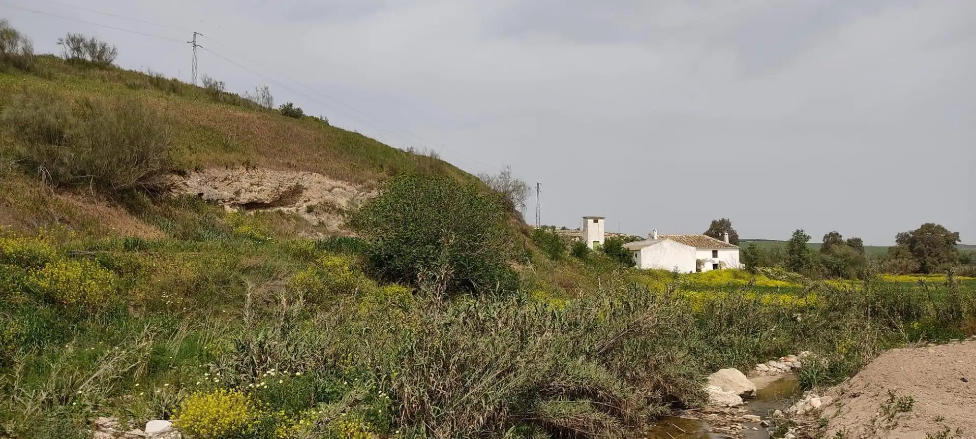 Land for sale in Herrera