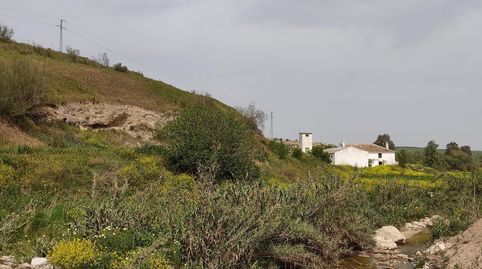 FINCA DE REGADÍO, CON VIVIENDA, ALMACÉN JARDÍN Y PISCINA, immagine 4
