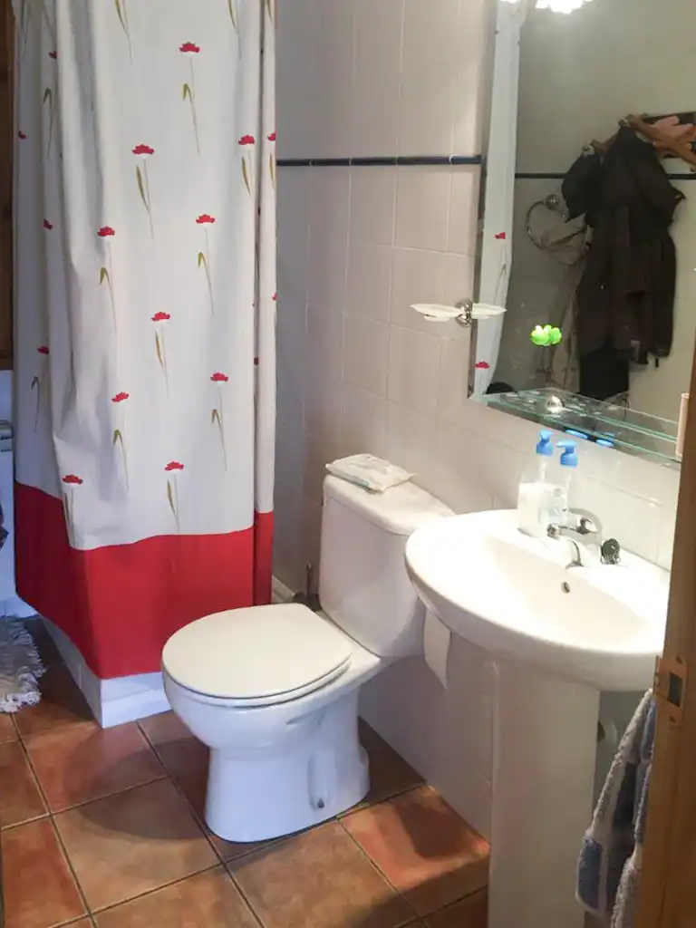 Bathroom of Detached homes for sale in Planoles  with Heating