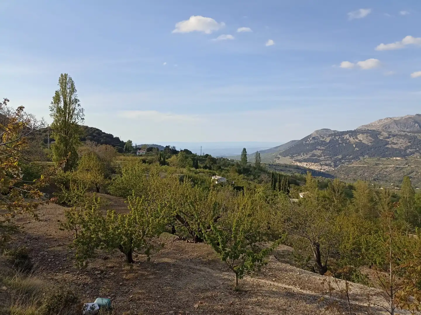 Land for sale in Torres