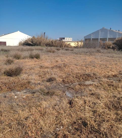 Foto 2 de Terreny industrial en venda a Écija, Sevilla