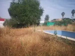 Chalet con piscina en venta en Calle Sierra de Aracena 38, imagen 11