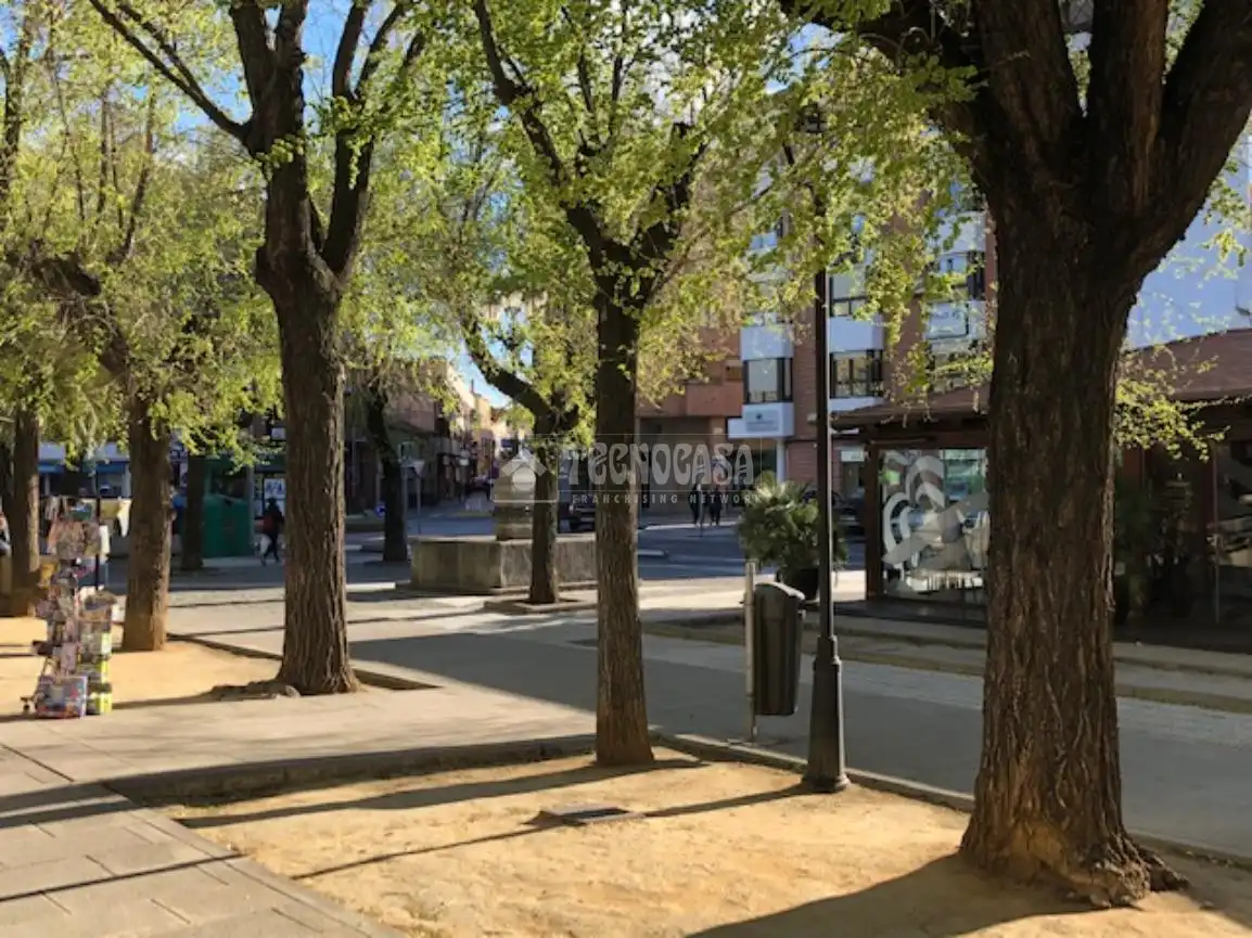 Local comercial en alquiler en Zona Centro - Ayuntamiento, imagen 15