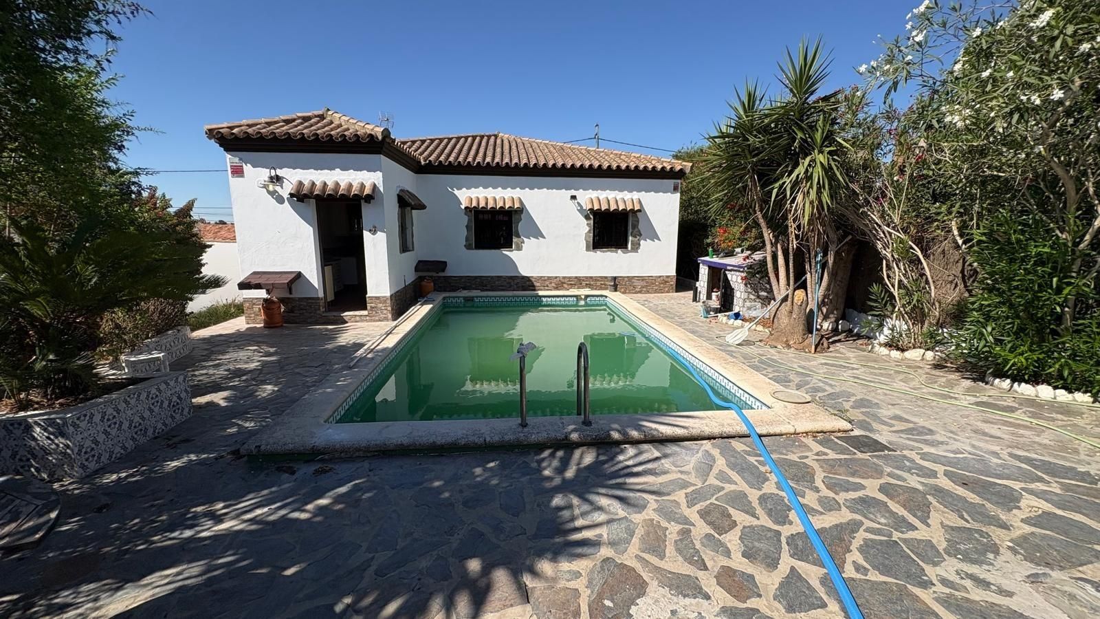 Swimming pool of House or chalet for sale in Chiclana de la Frontera