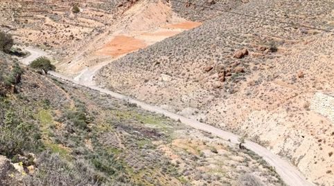 PARCELA EN RAMBLICA DEL POZO CARBONERAS, immagine 2