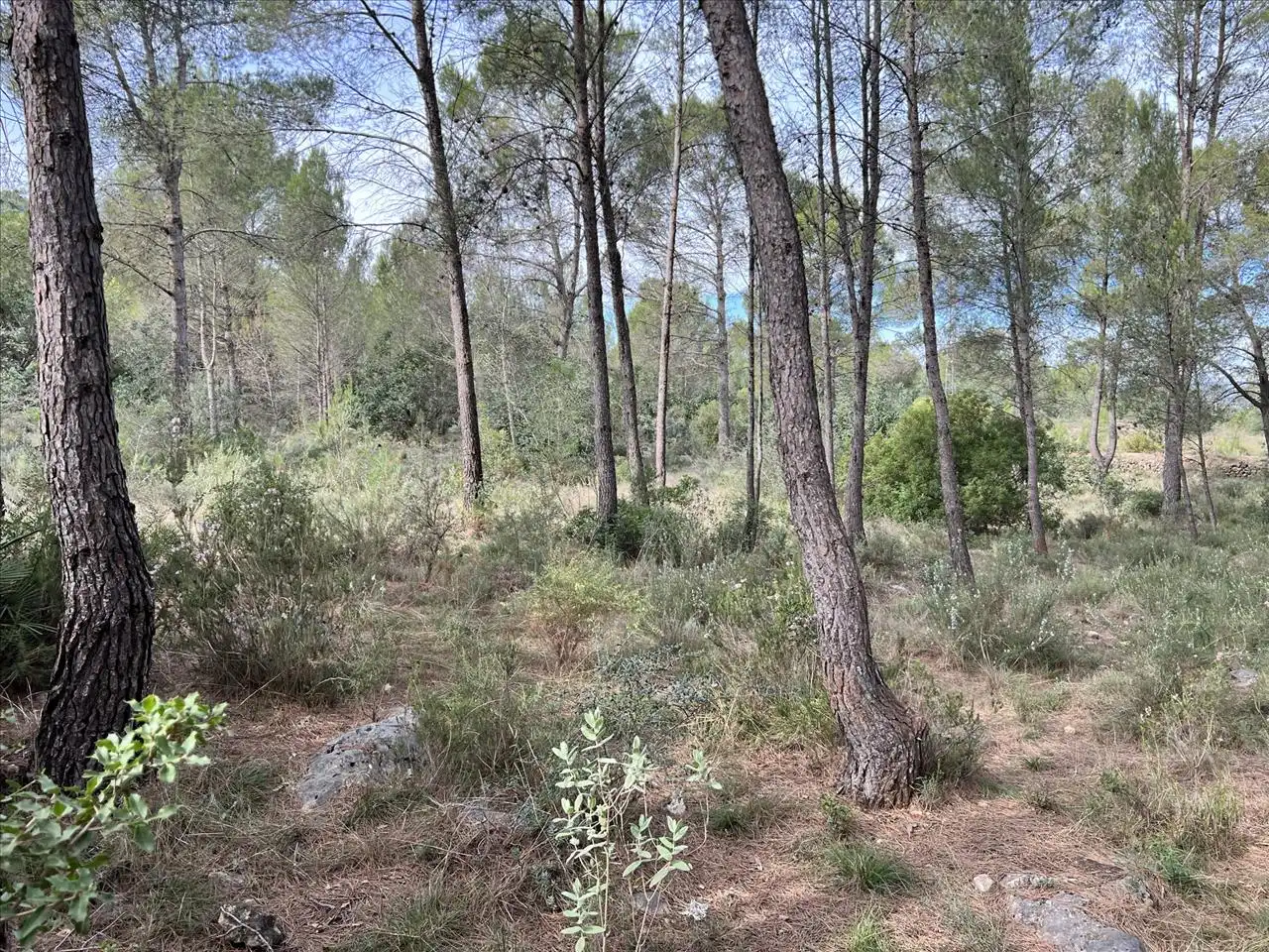 Residencial en venta en Polígono 23. Parcela, Bicorp