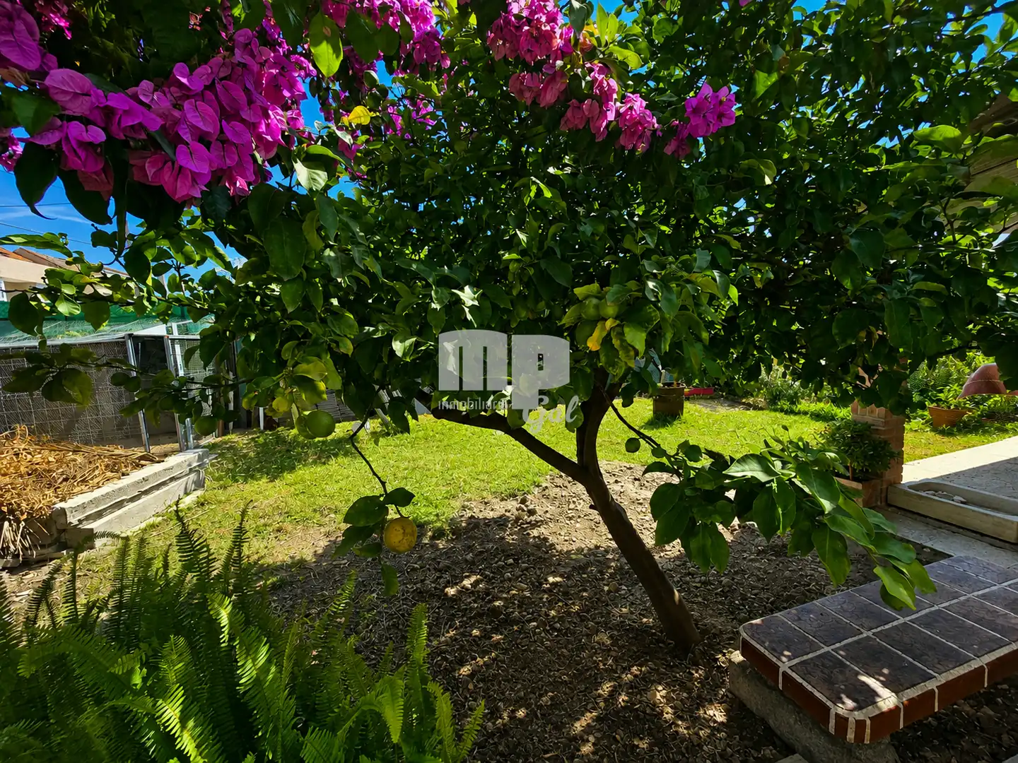 Garden of Houses for sale in Comesaña - Matamá