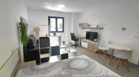 Foto 2 de Estudio de alquiler en El Ejido, Málaga Capital