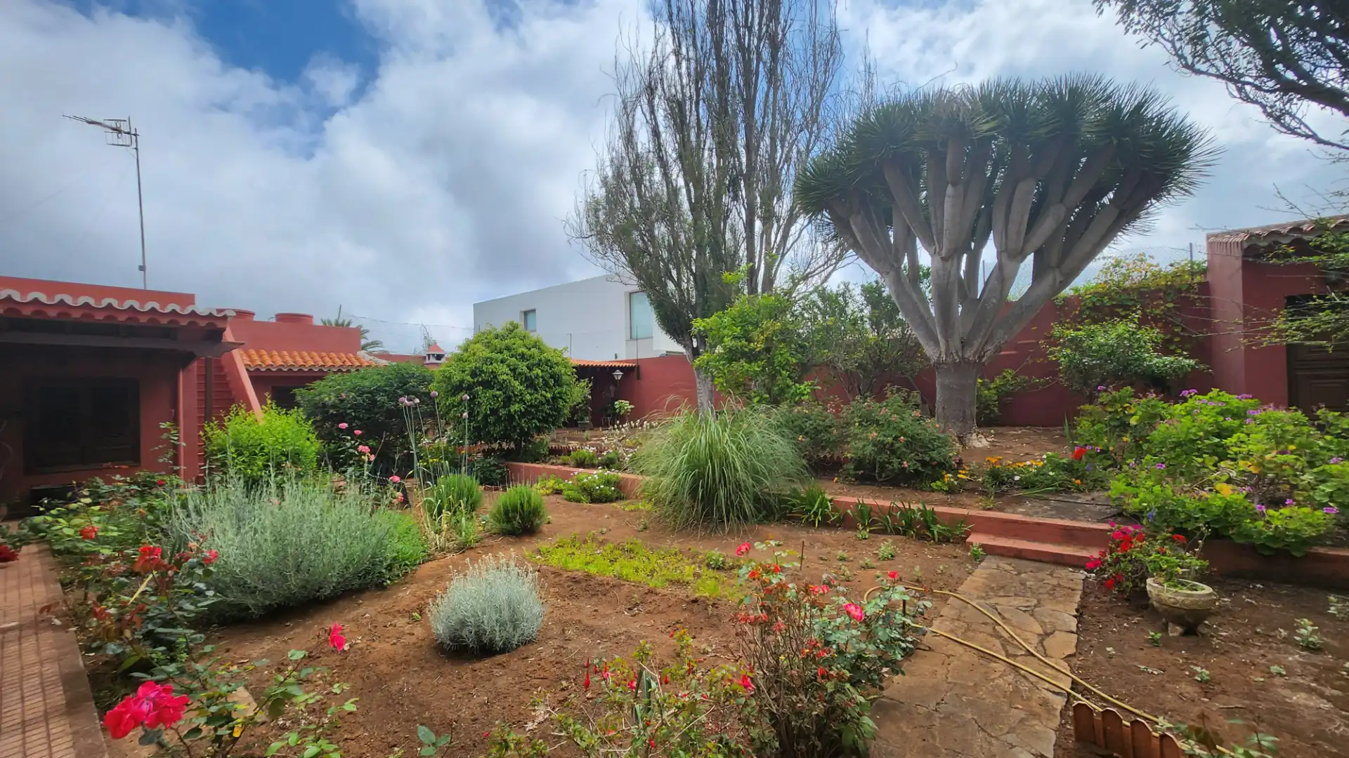 Jardín de Casa o chalet en venta en Tacoronte con Jardín privado, Terraza y Amueblado