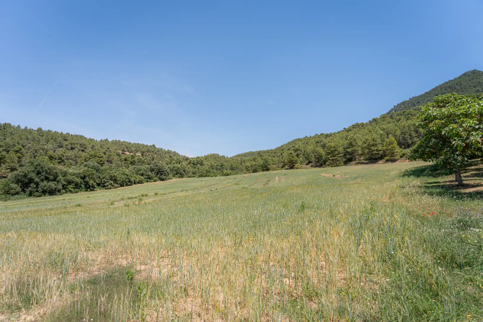 Houses for sale in Montblanc  with Air Conditioner, Heating and Private garden