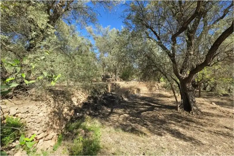 Terreno rustico in vendita a El Pinar, imagen 40