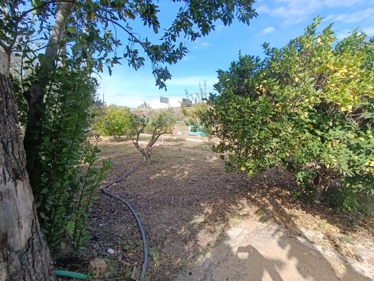 Garden of Houses for sale in Villajoyosa / La Vila Joiosa  with Furnished