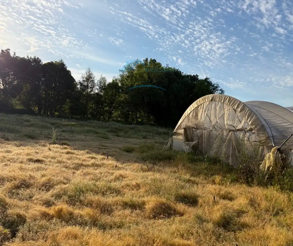 Jardín de Finca rústica en venta en Cuacos de Yuste