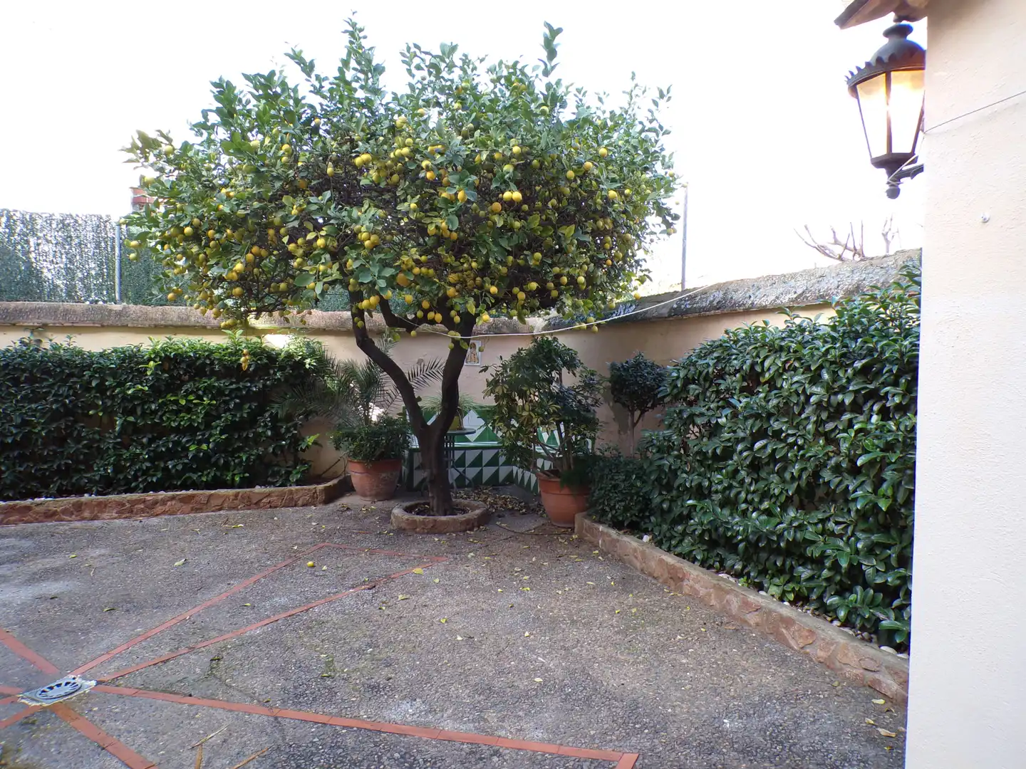 Detached homes for sale in Casas Verdes - Ermita