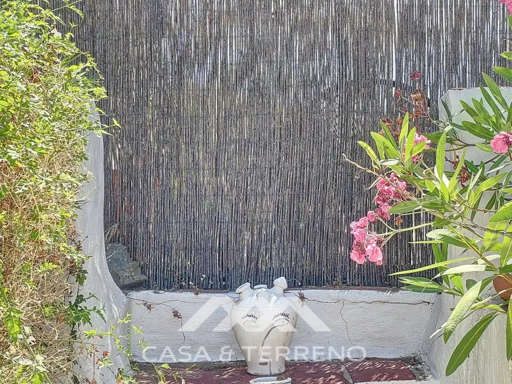 Garden of Commercial properties for sale in Arenas  with Air Conditioner