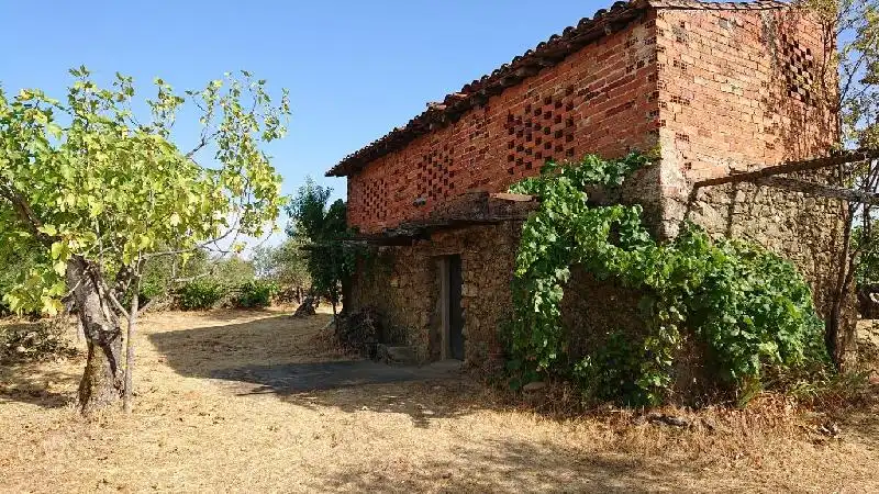 Terreni e lotti in vendita a Tejeda de Tiétar, imagen 11