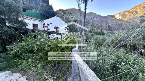 Foto 5 de Finca rústica en venta en Taidia, San Bartolomé Interior, San Bartolomé de Tirajana